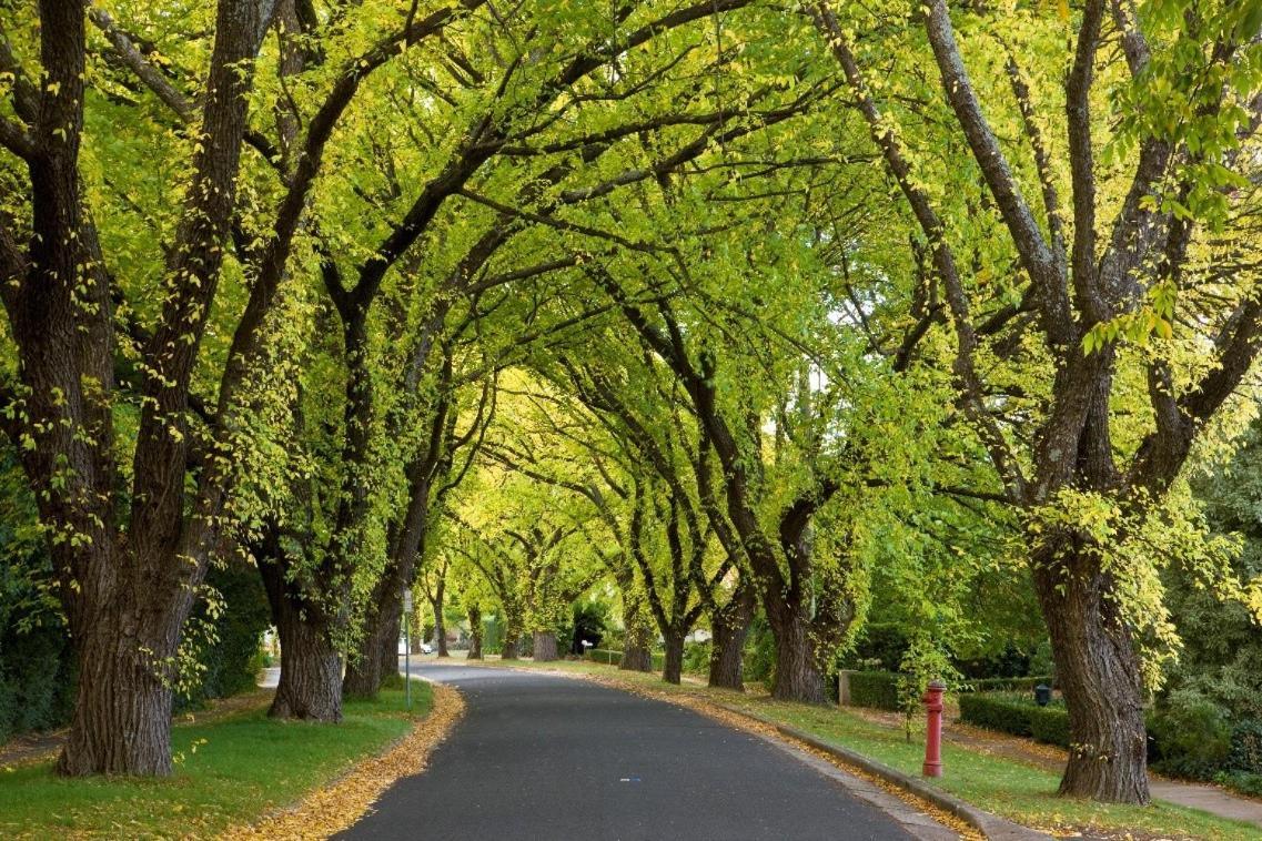 Forrest Hotel & Apartments Canberra Luaran gambar